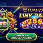 Kenali Kelebihan Mega888 & Cara Bermain di Telefon