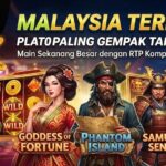 Cara Cepat Download Game Evo888